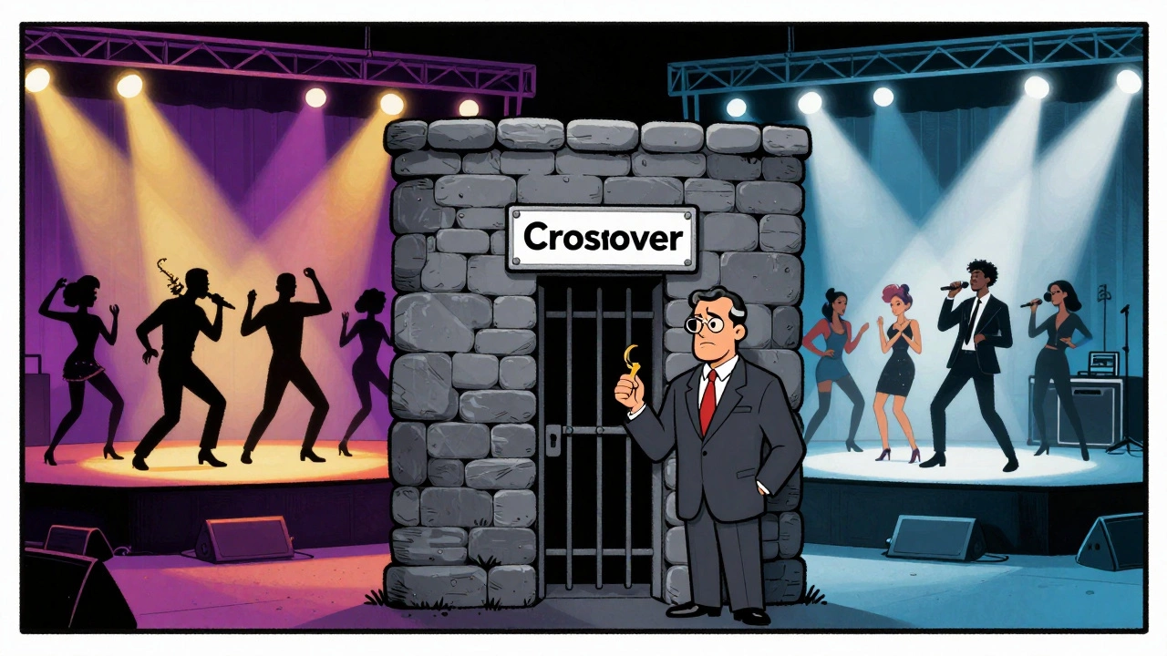 Cartoon showing divided stages for R&amp;B and Pop with a crossover gatekeeper